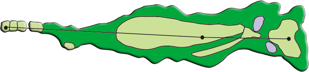 Hole9　コースレイアウト